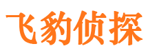 全南市调查公司